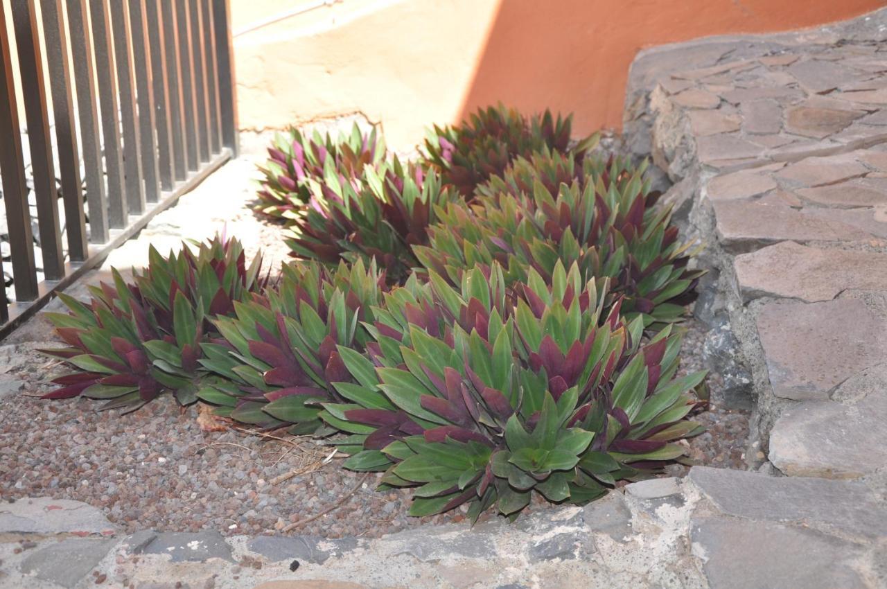 Vivienda Vacacional Villa El Mirador San Sebastián de la Gomera Eksteriør billede